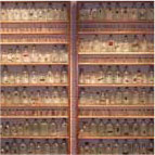 Story of Insects, Glass Bottles, Mineral Color, Acrylic Paint, Oil Paint, Wooden Frame, 122 x 64 x 8cm (each set), 2011